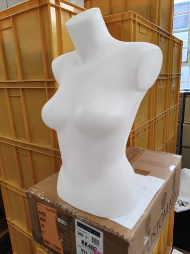 Half female mannequin - half,