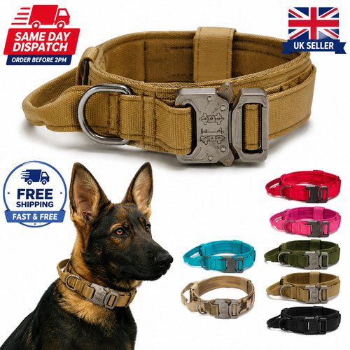 Universal tactical dog collar - universal, tactical-dog
