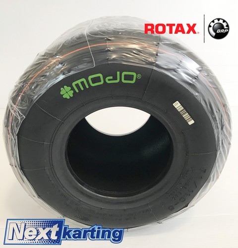 Mojo kart racing - kart, rotax