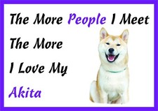 The More I Love My Akita Dog
