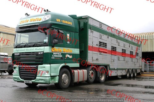 Truck lorry photo - photo, chris