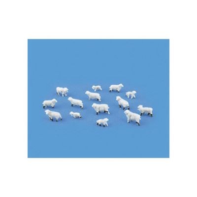 Sheep lambs model scene - sheep,