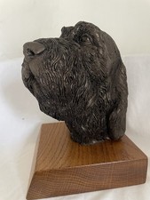 Italian Spinone Bronze  Cold