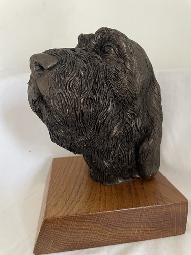 Italian spinone bronze - , cold