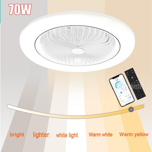 Speed large led - speed, fan