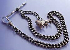 Antique solid silver pocket watch albertina albert chain & silver lion fob