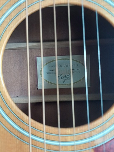 Taylor 310 semi acoustic - taylor, 310-ce