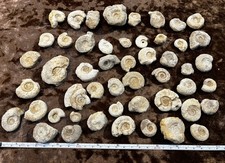 50 Pieces Job Lot Mixed