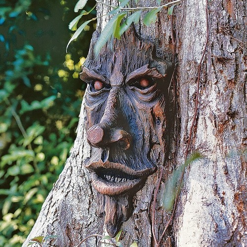 Rustic tree face wall - tree,