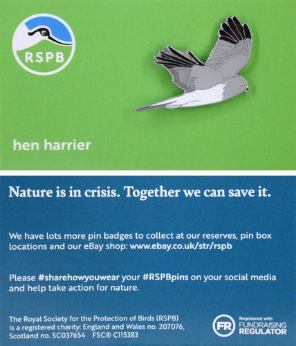 Rspb pin badge niic - pin, hen