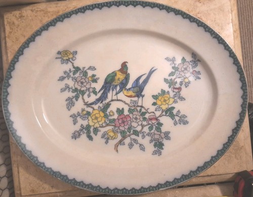 Colourful bird floral - /,