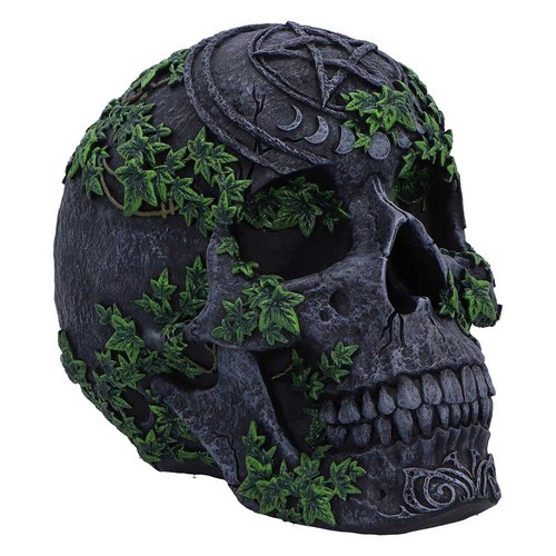 New skull aged pentagram - skull,