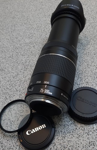 Canon 300mm 5 6 - f/4-5.6, iii