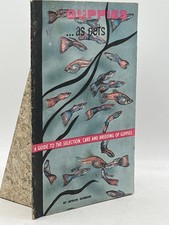 Guppies As Pets Myron Gordon