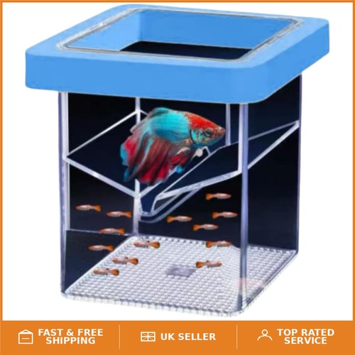 Transparent aquarium - 2l,