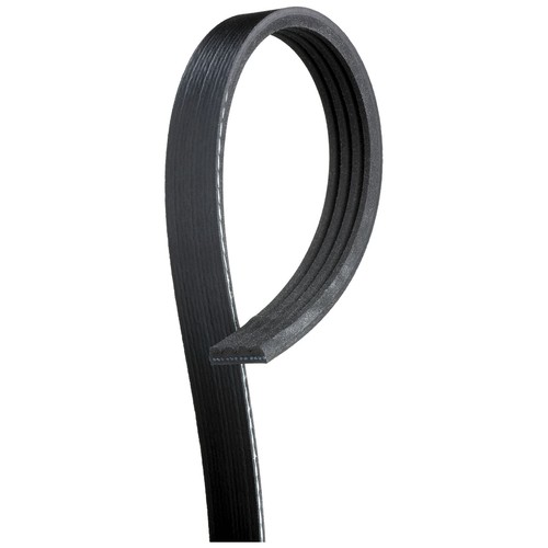 Rib multi drive belt for - rib,