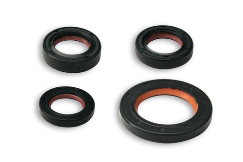 6618160 malossi fkm ptfe - fkm/ptfe, oil
