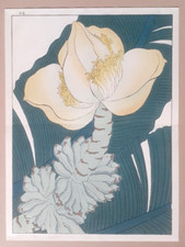 SAKAI HOITSU BANANA FLOWERS