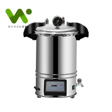 2KW 12/18/24L Digital steam