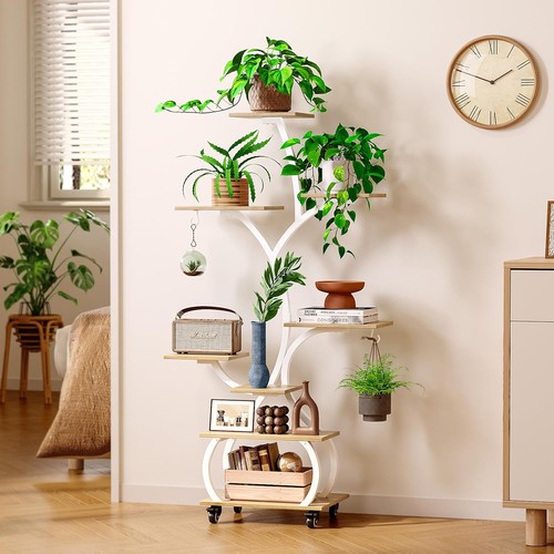 Plant display stand - plant, indoor