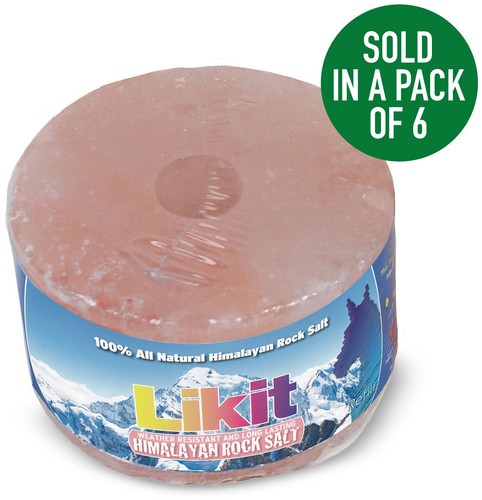 Likit 100 himalayan rock salt - likit,