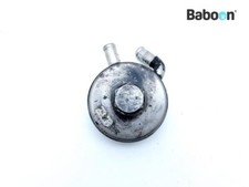 Oil Cooler (Engine) Triumph