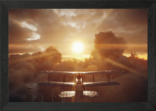 Plane framed wall art - framed, poster