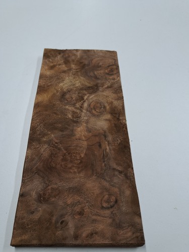 Burr walnut veneer - -, 1