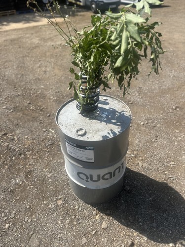 Barrel oil drum - barrel/,