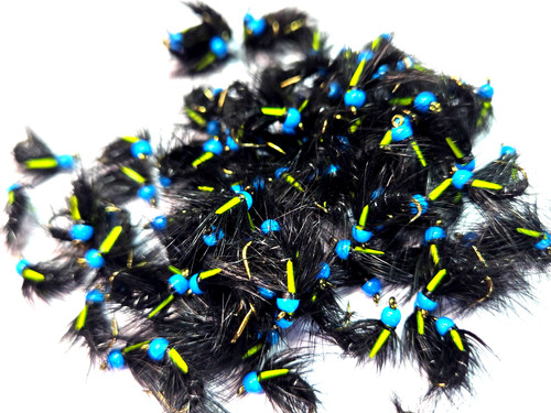 Black snatcher fly - 6,