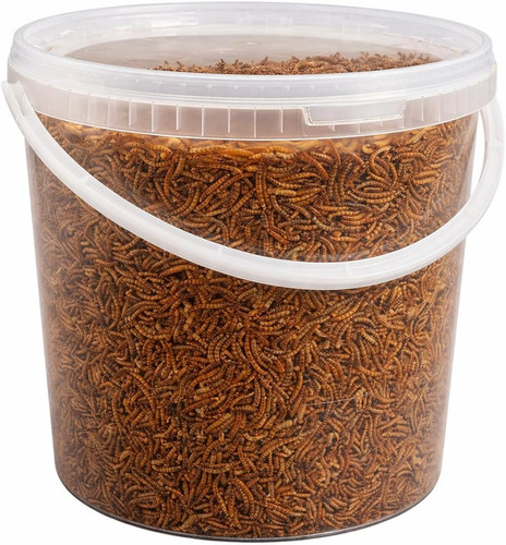 Premium dried mealworms 10 - premium,