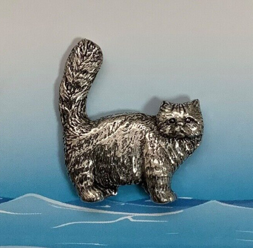 Tabby persian cat silver - persian,