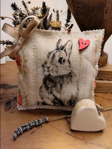 Stunning dwarf rabbit - stunning,