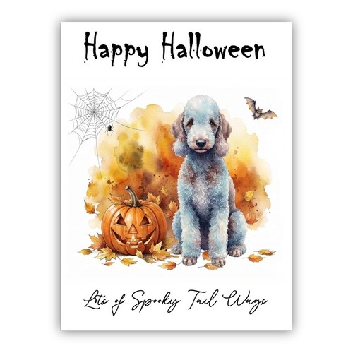 Bedlington terrier dog - bedlington,