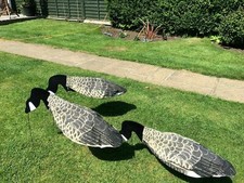 Goose Decoys Sillosock Canada
