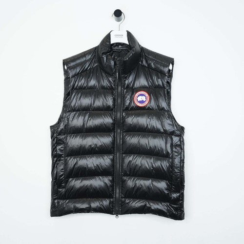 Canada goose black - canada, crofton
