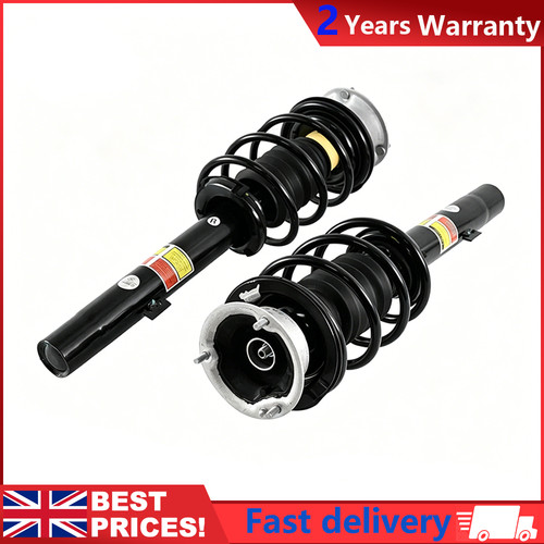 Pair front shock struts assys - shock,