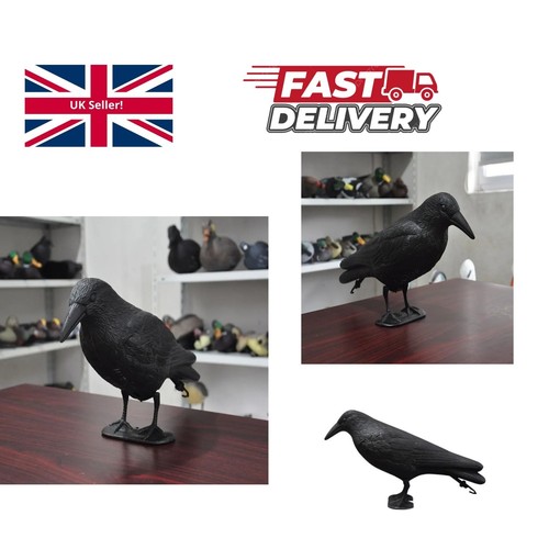 Bird repellent black crow - bird,