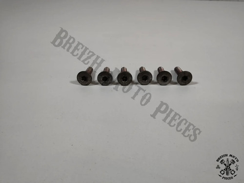 Front brake disc screws