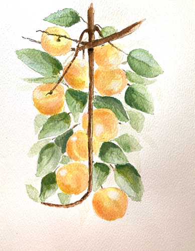 Original watercolour painting - watercolour,