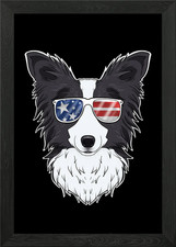 Border Collie USA Framed Wall