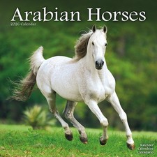 Arabian Horses Calendar 2026 Square Horses Wall Calendar - 16 Month [Calendar]