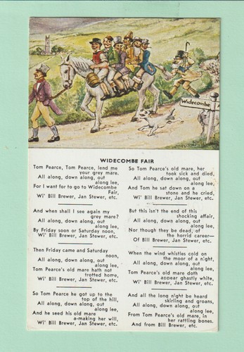 Devon widecombe fair tom - devon,