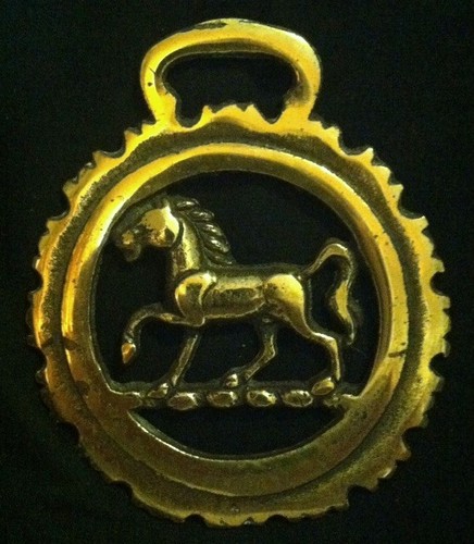 Trotting horse dog toothed - horse,
