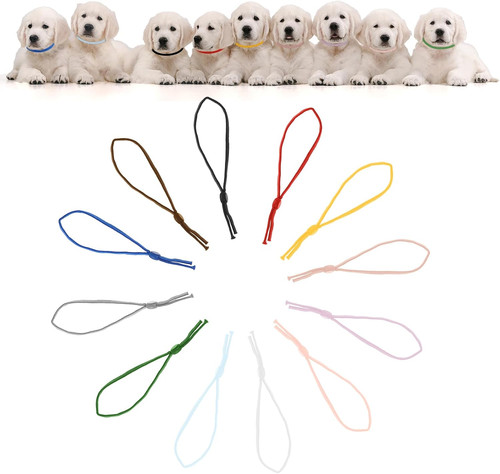 60pcs puppy collars 12 - id,