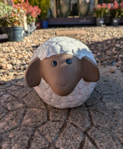 Woolie sheep white colour - colour,