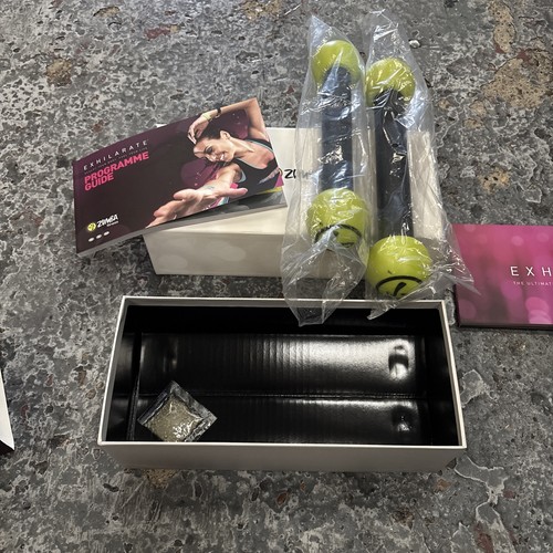 Zumba fitness exhilarate body - fitness,