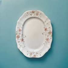 Osborne JHW & Sons Hanley England Semi Porcelain Floral Platter