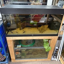 Juwel Rio 180 - custom wooden