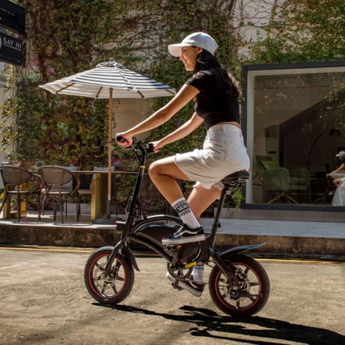 Folding electric bike 250w - electric,